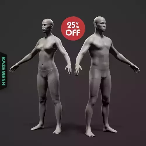 Average Body Basemesh Set 3D model