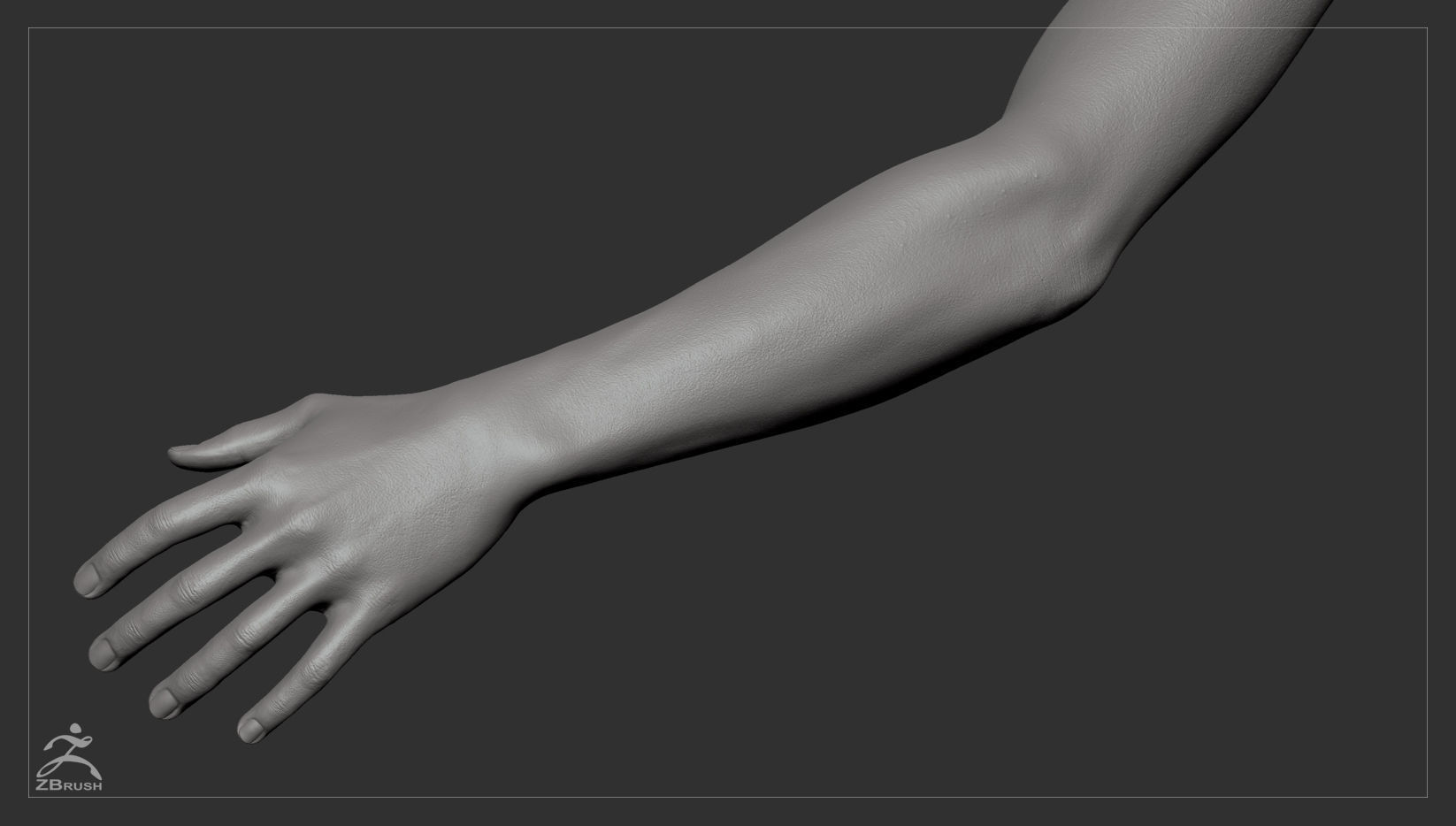 Average Body Basemesh Set 3D model_10