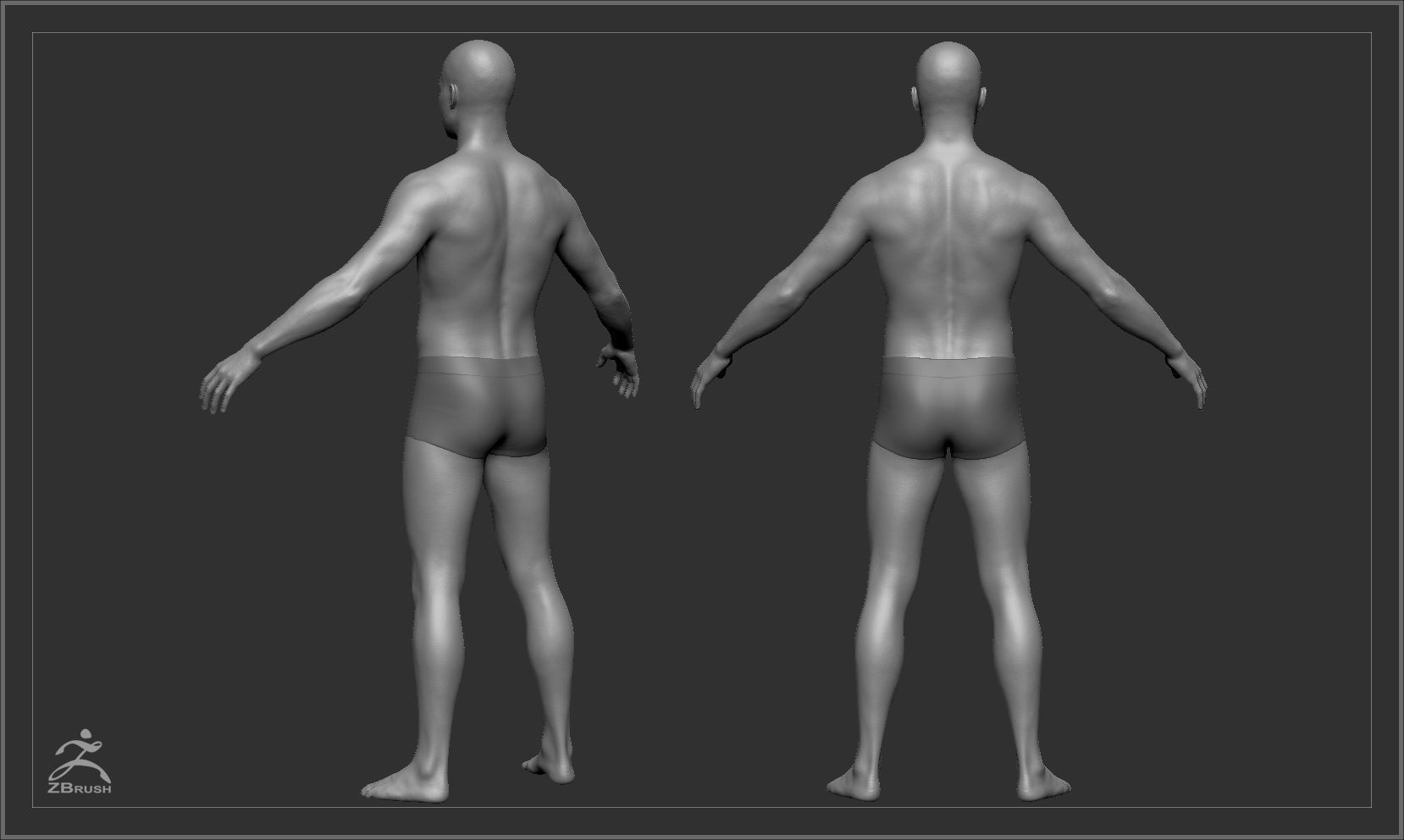 Average Body Basemesh Set 3D model_21