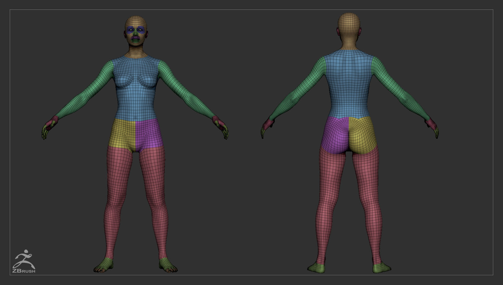 Average Body Basemesh Set 3D model_13