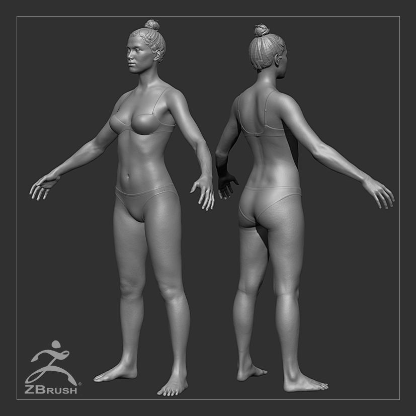 Average Body Basemesh Set 3D model_1