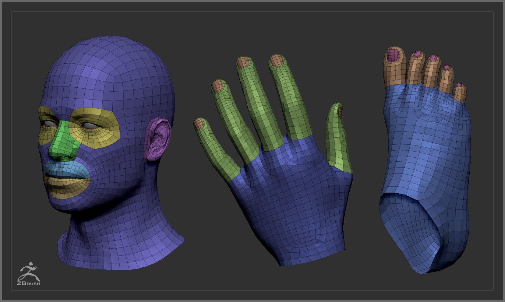 Average Body Basemesh Set 3D model_32