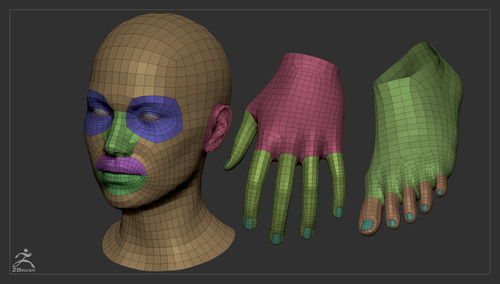 Average Body Basemesh Set 3D model_15