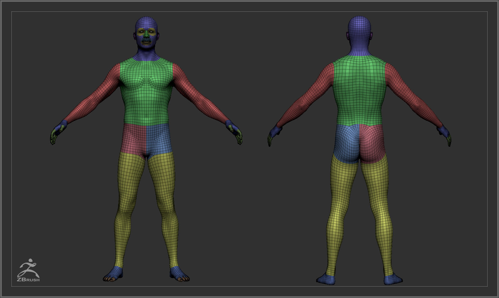 Average Body Basemesh Set 3D model_31