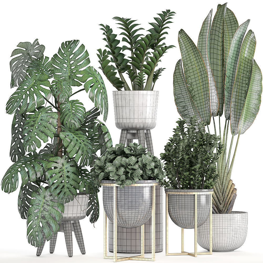 Collection of ornamental plants in pots 3D model_6