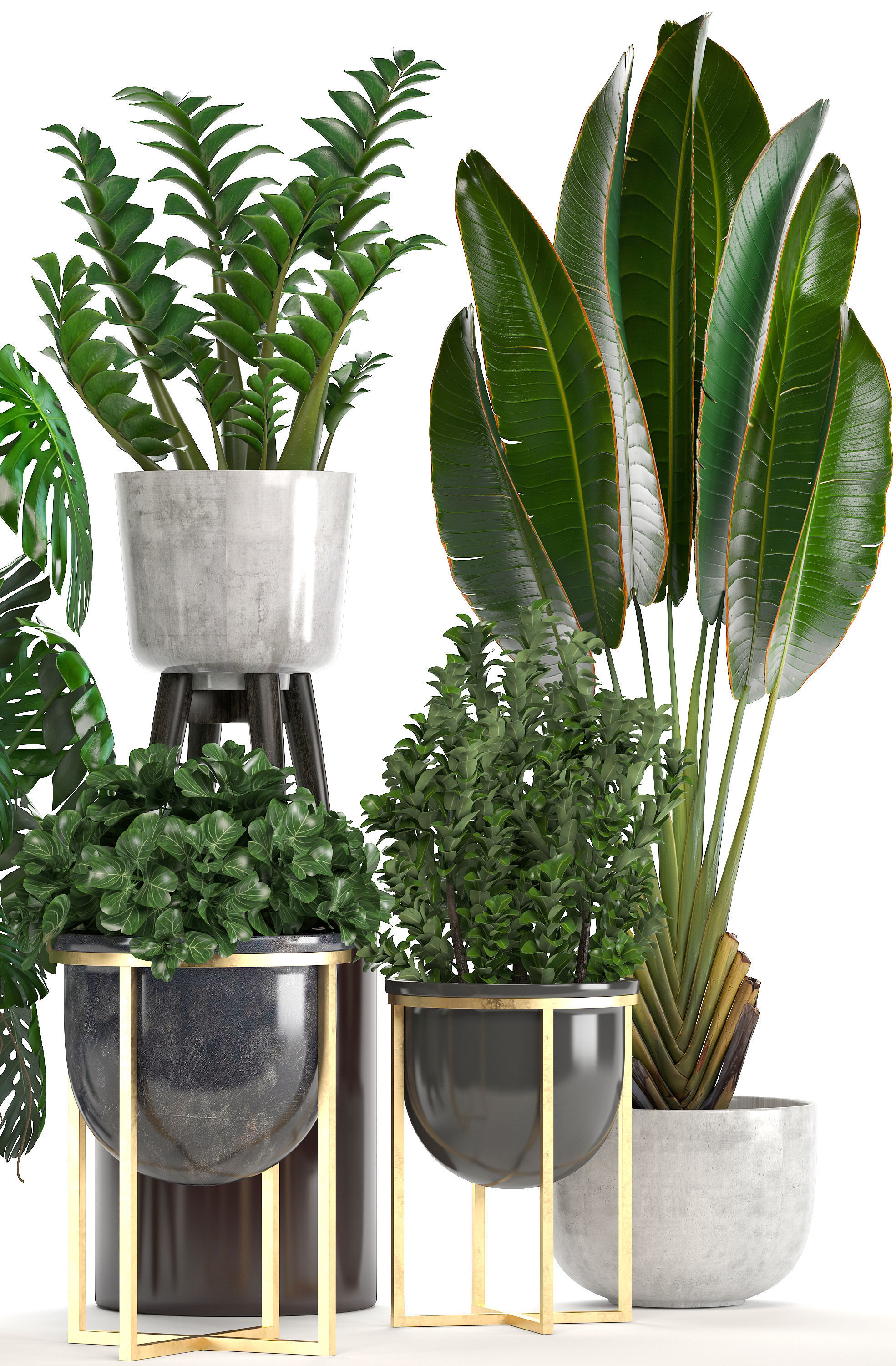 Collection of ornamental plants in pots 3D model_7