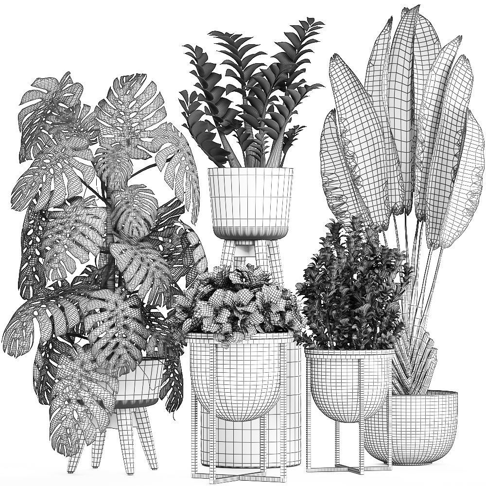 Collection of ornamental plants in pots 3D model_5