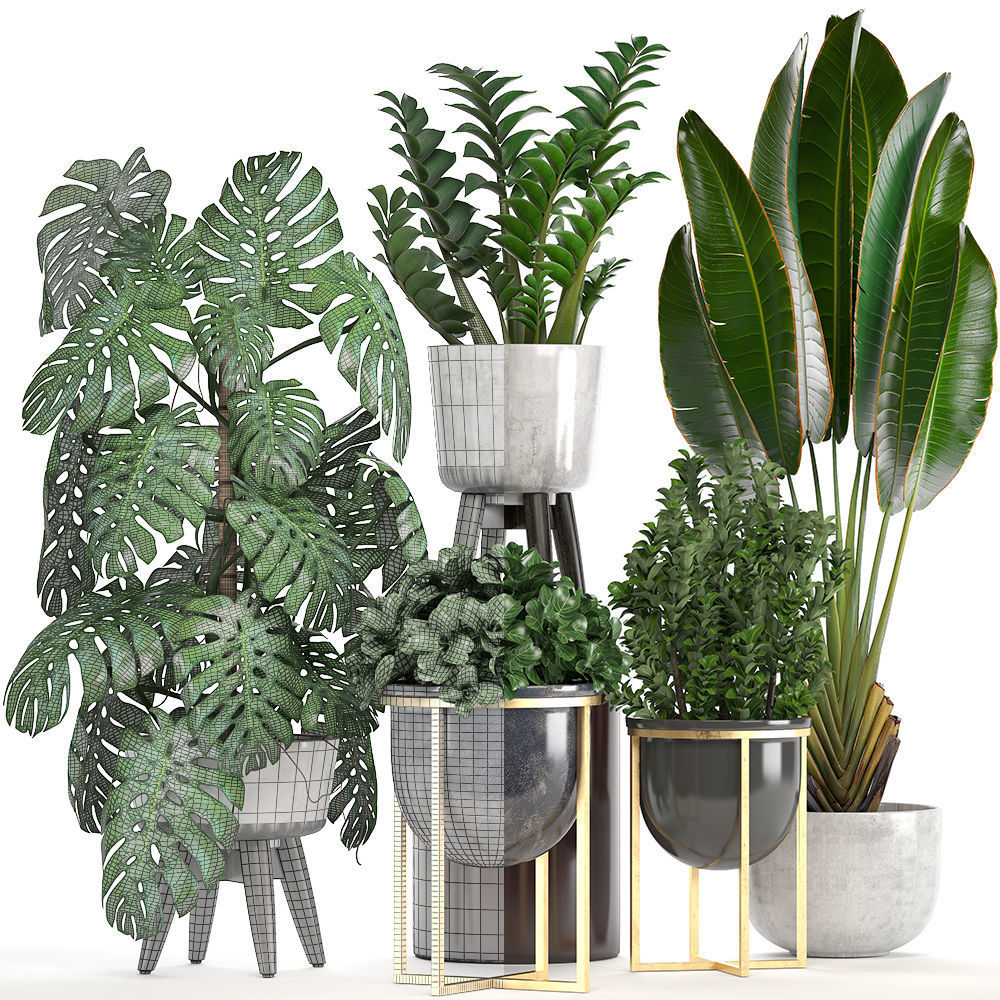 Collection of ornamental plants in pots 3D model_8