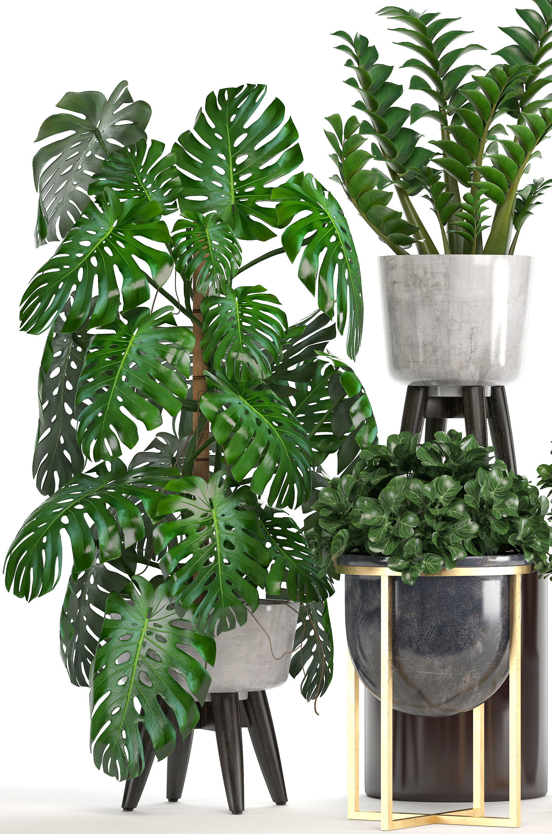 Collection of ornamental plants in pots 3D model_9