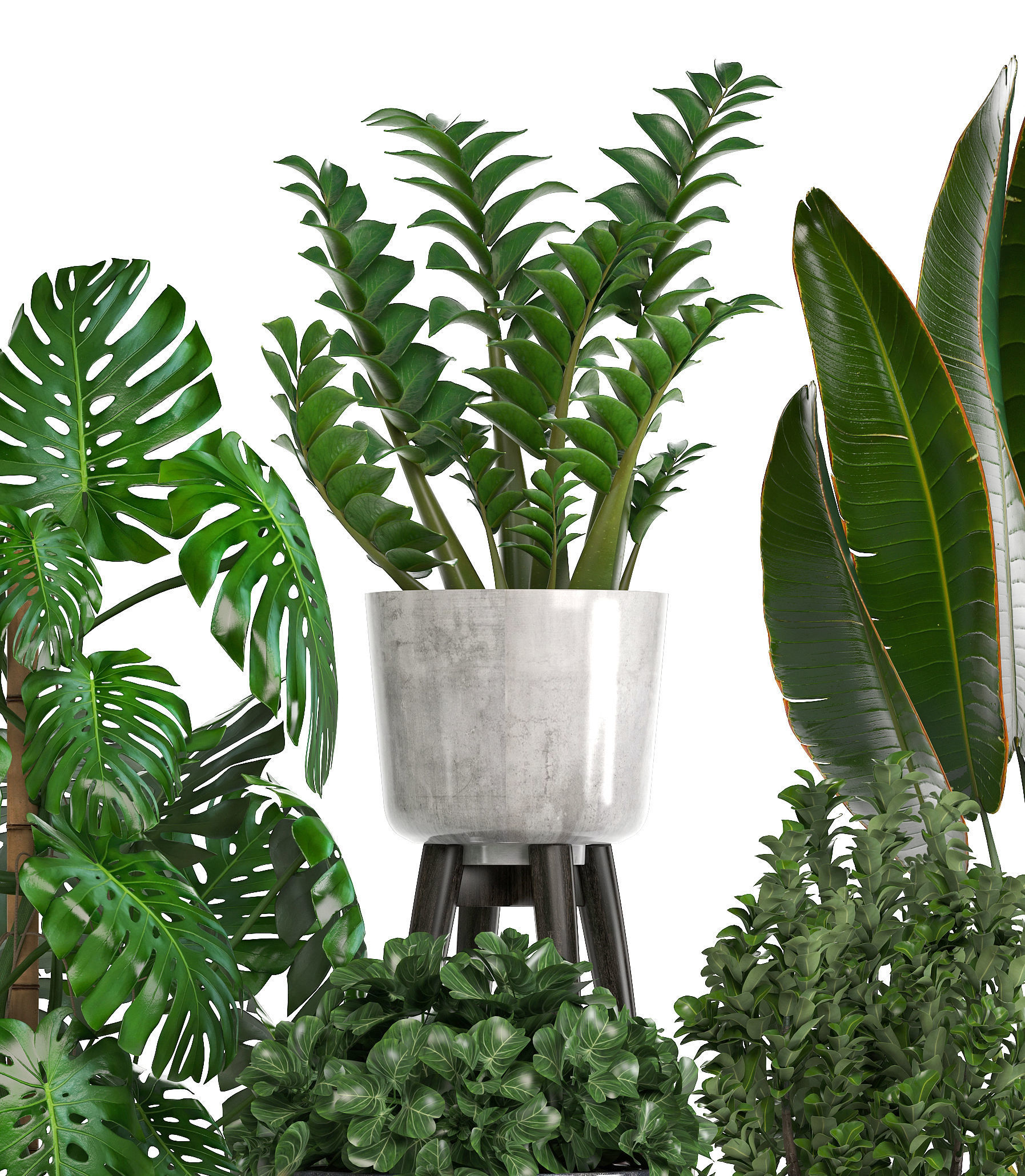 Collection of ornamental plants in pots 3D model_1