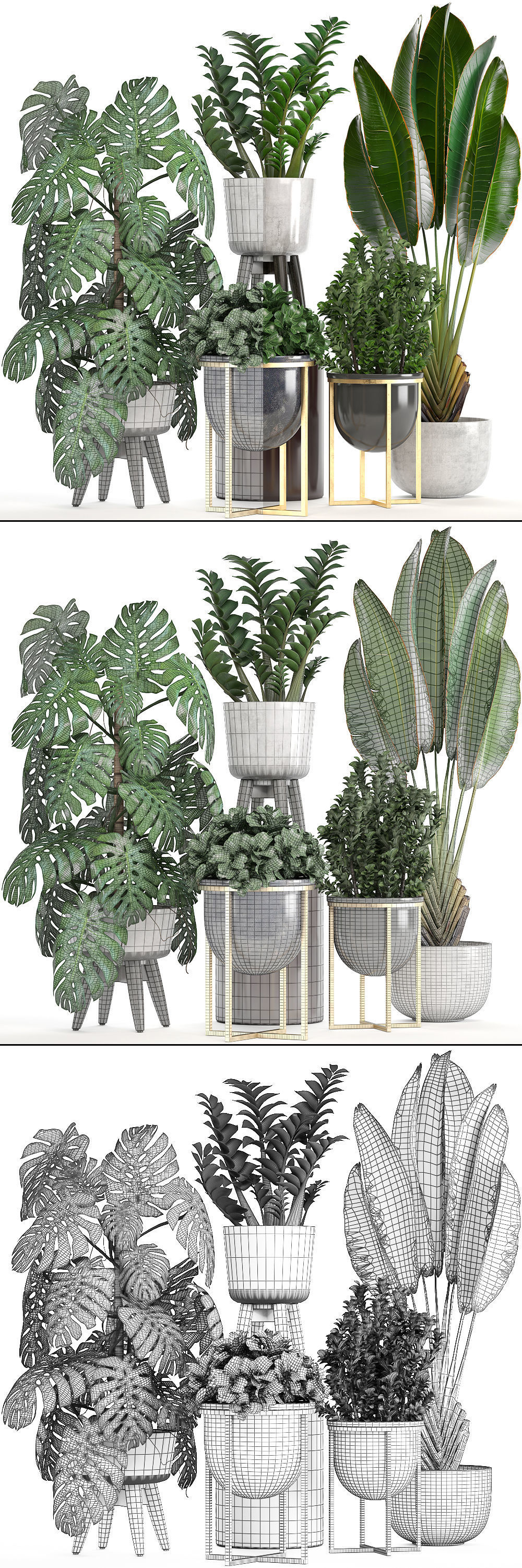 Collection of ornamental plants in pots 3D model_2