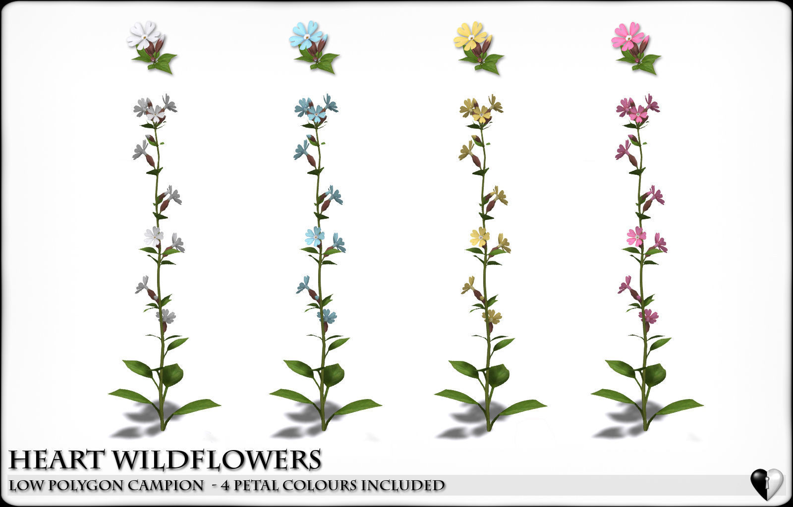 Low Polygon 3D Wild Campion Flowers for Games and Visualizations Low-poly 3D model_3