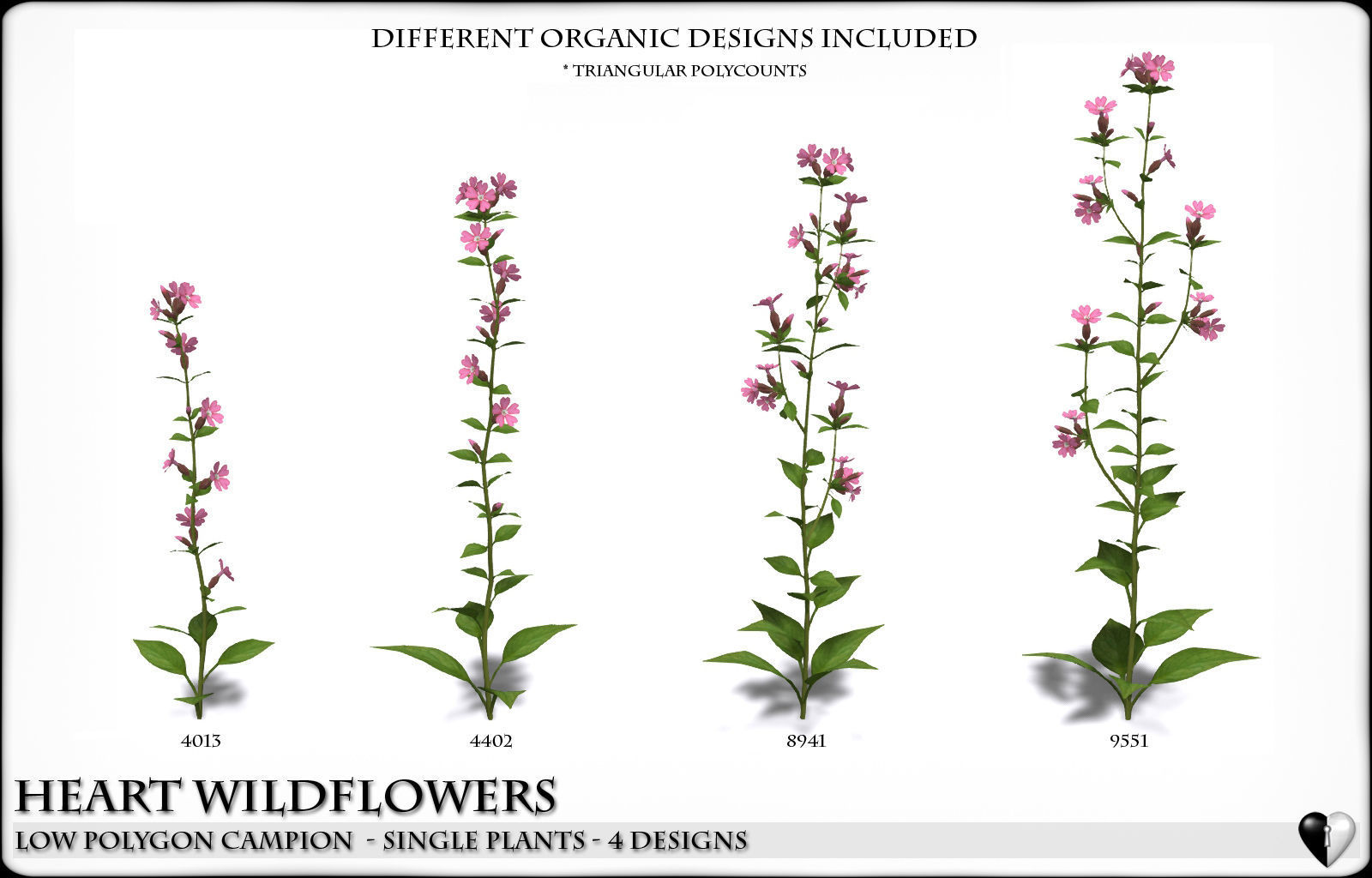 Low Polygon 3D Wild Campion Flowers for Games and Visualizations Low-poly 3D model_1