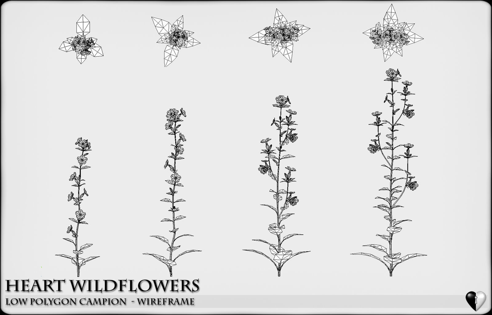 Low Polygon 3D Wild Campion Flowers for Games and Visualizations Low-poly 3D model_4