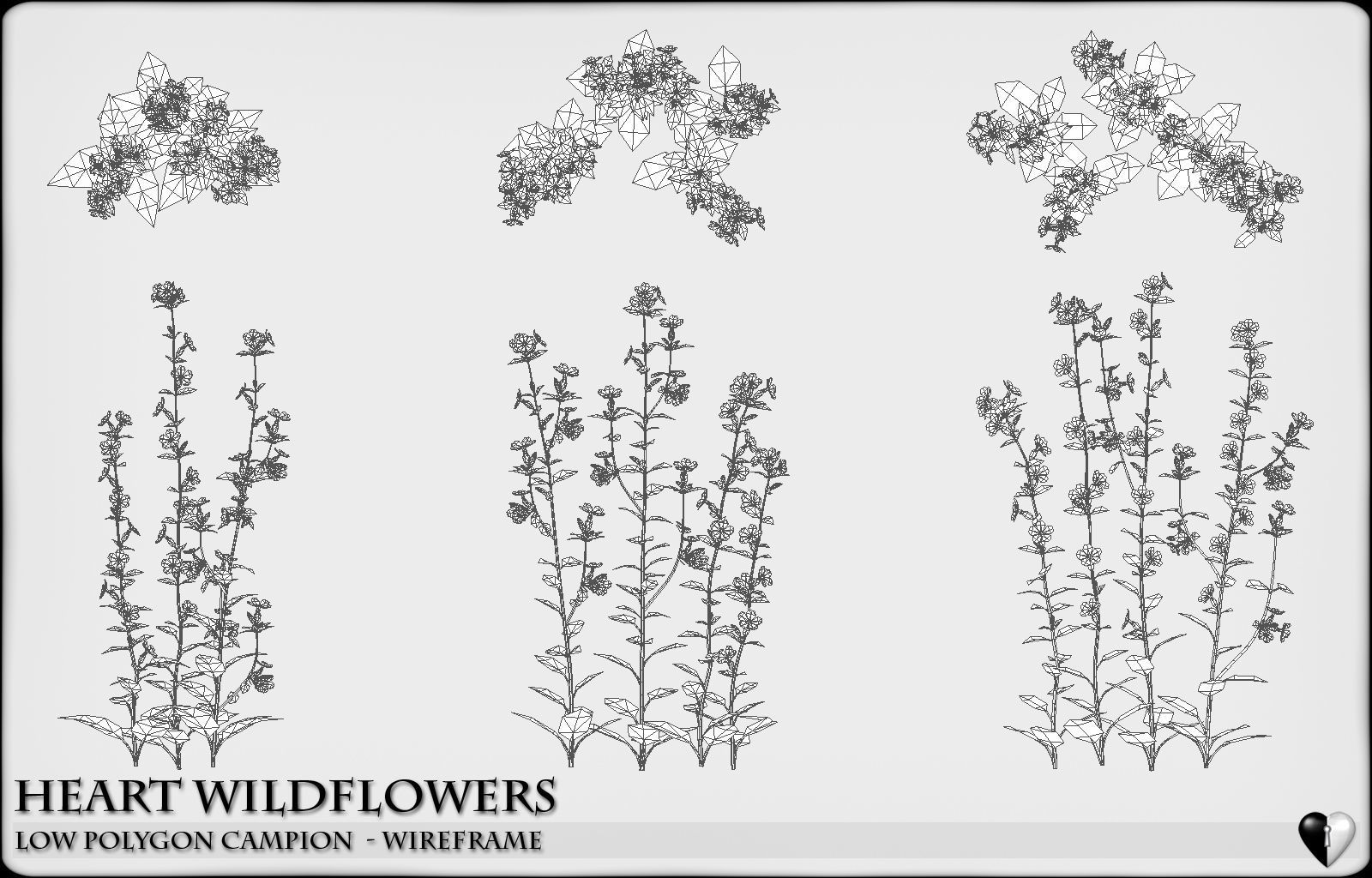 Low Polygon 3D Wild Campion Flowers for Games and Visualizations Low-poly 3D model_5