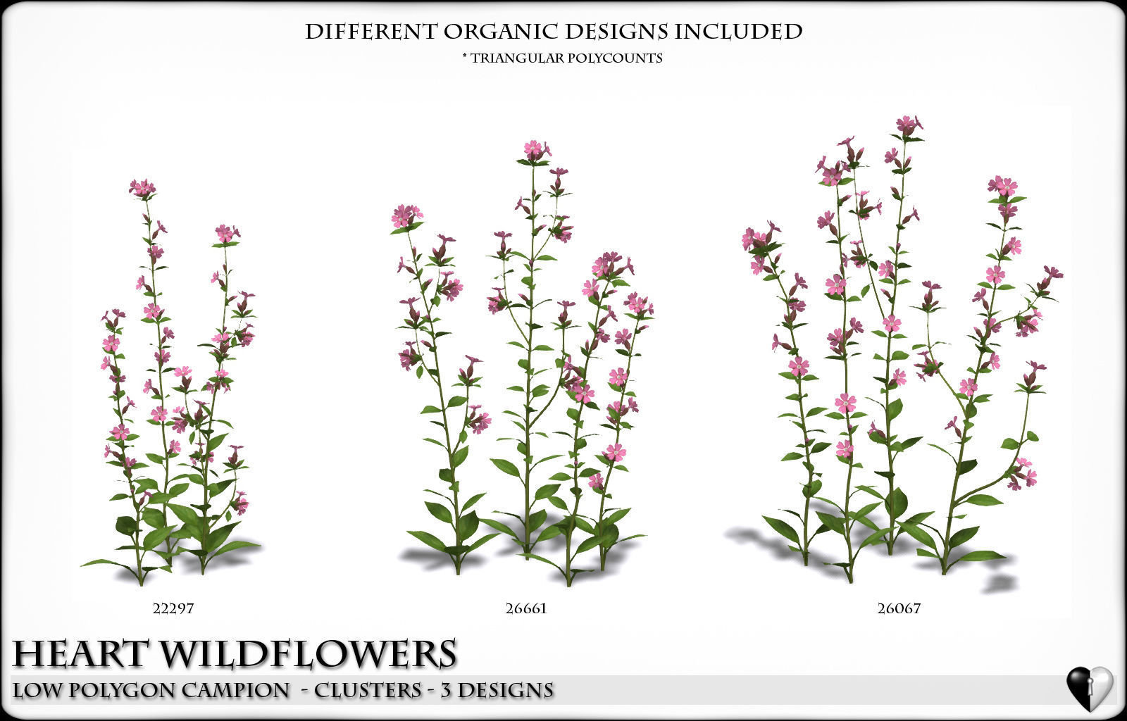 Low Polygon 3D Wild Campion Flowers for Games and Visualizations Low-poly 3D model_2