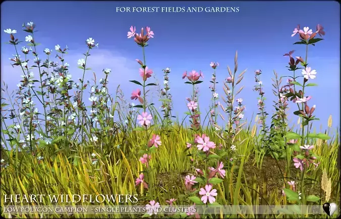 Low Polygon 3D Wild Campion Flowers for Games and Visualizations Low-poly 3D model