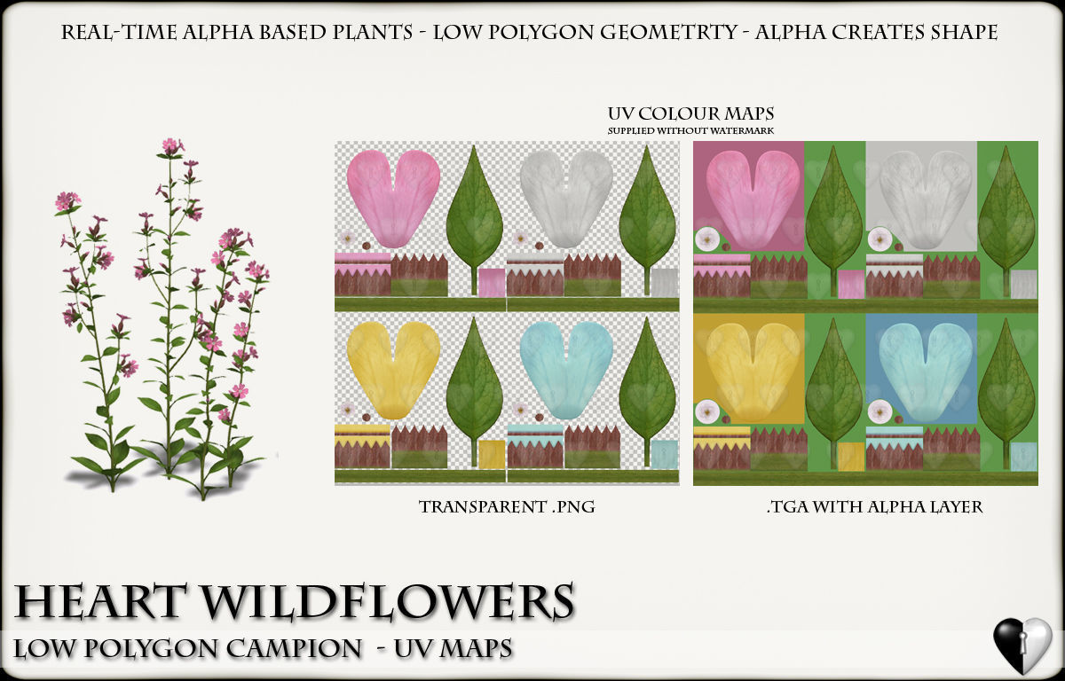 Low Polygon 3D Wild Campion Flowers for Games and Visualizations Low-poly 3D model_6