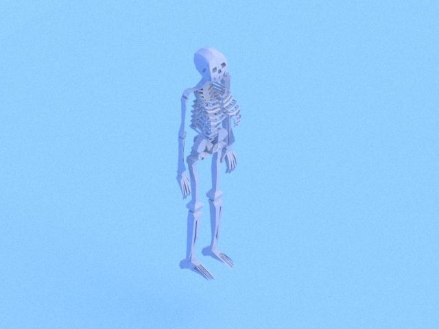 Low poly anatomic skeleton Free low-poly 3D model