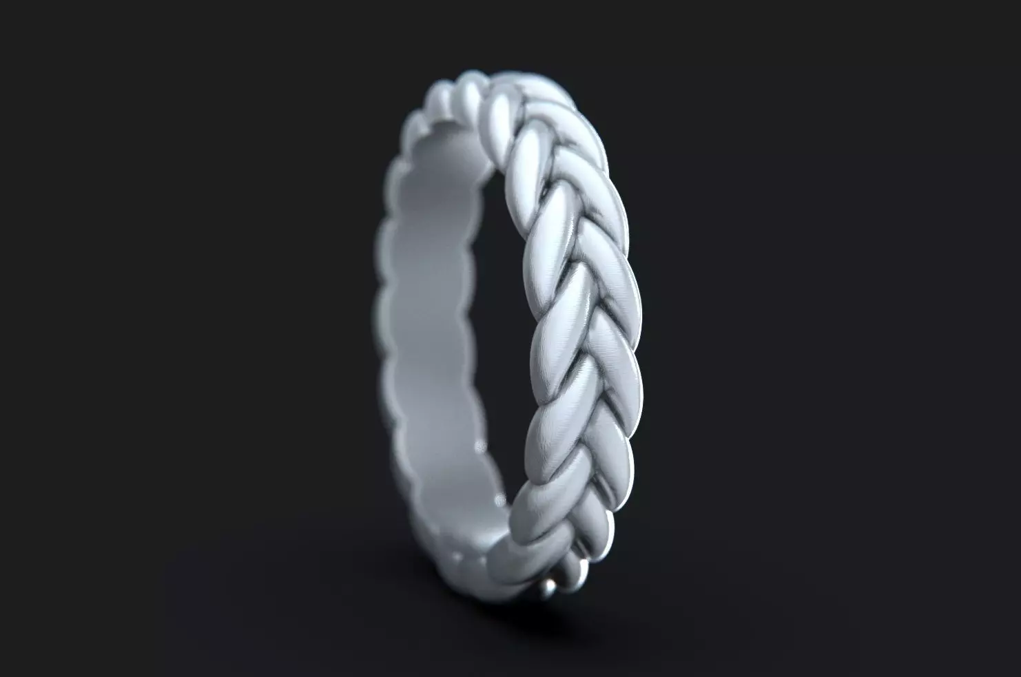 Braid Ring 3D print model_0
