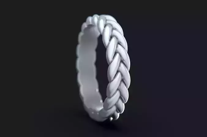 Braid Ring 3D print model