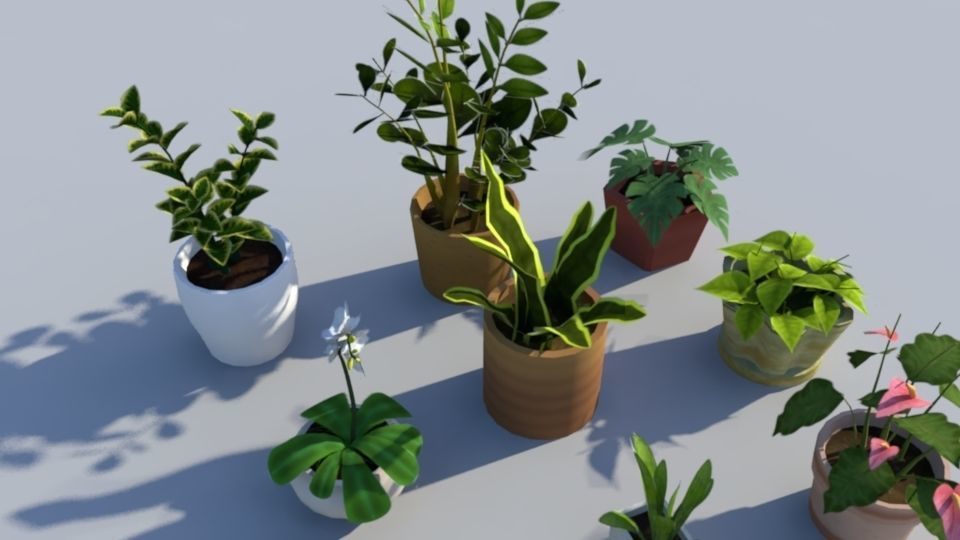 Indoor Plant Pack Low Poly Low-poly 3D model_4