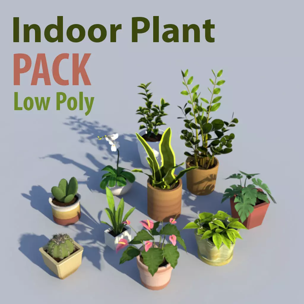 Indoor Plant Pack Low Poly Low-poly 3D model_0