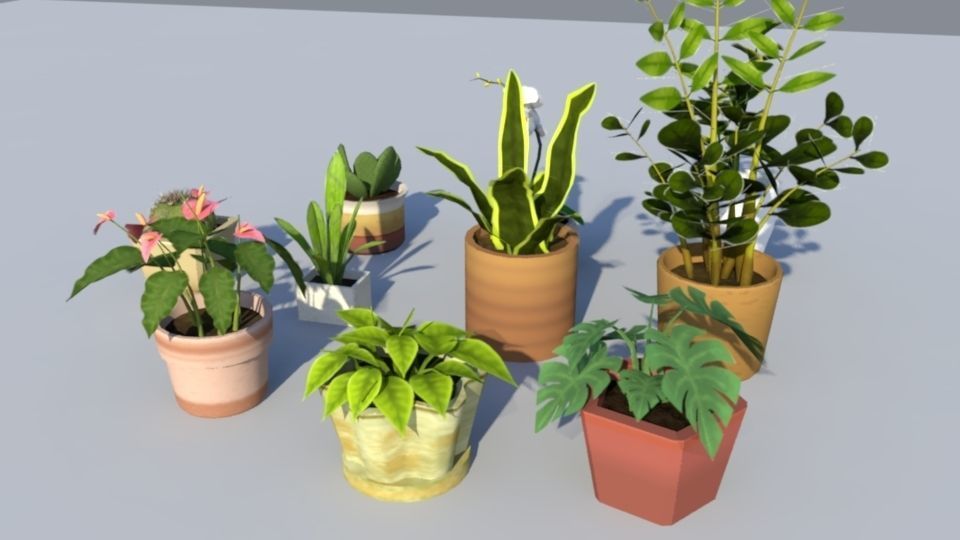 Indoor Plant Pack Low Poly Low-poly 3D model_2
