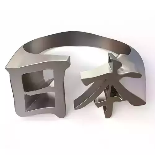 Japan Kanji ring 3D print model