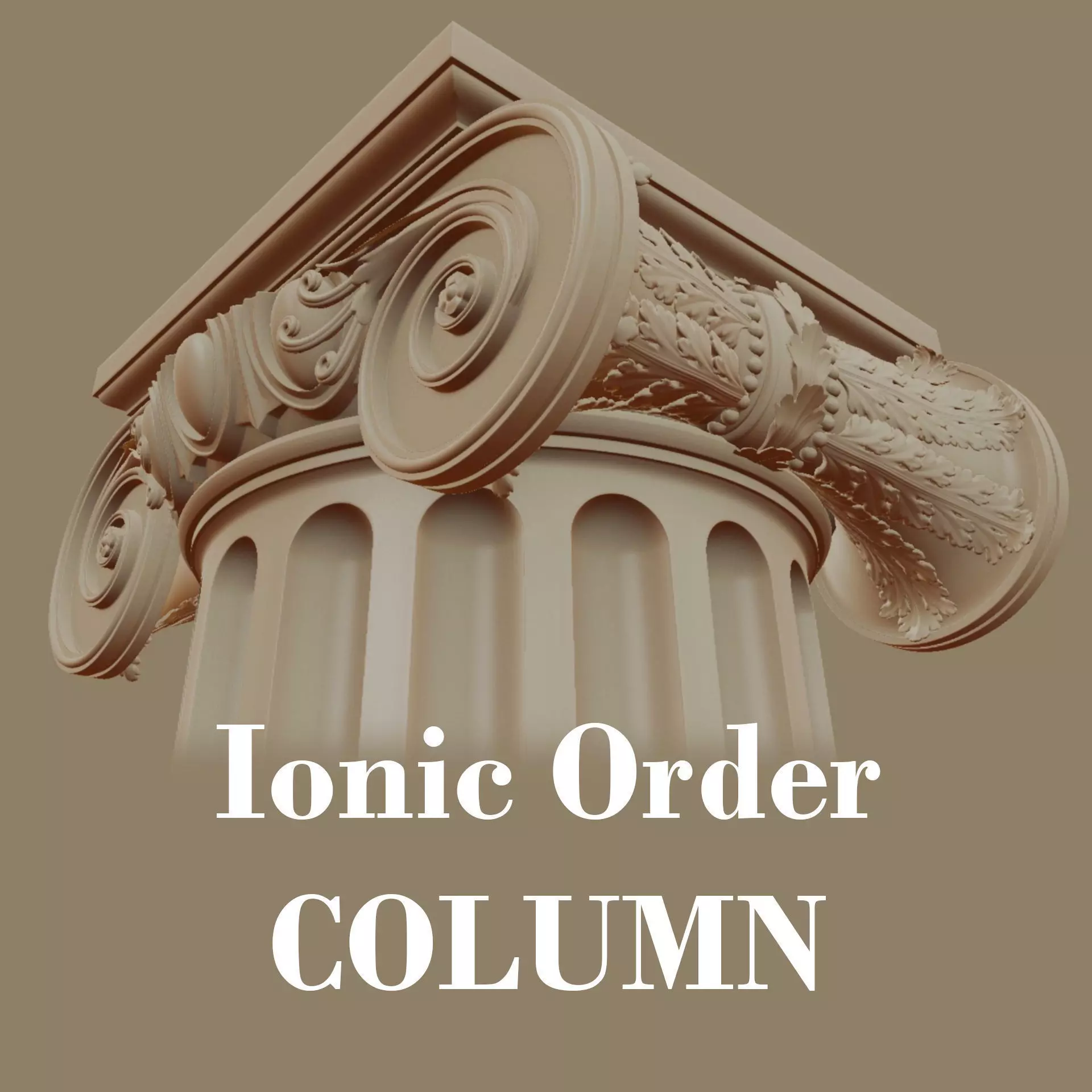 Ionic order - COLUMN 3D model_0