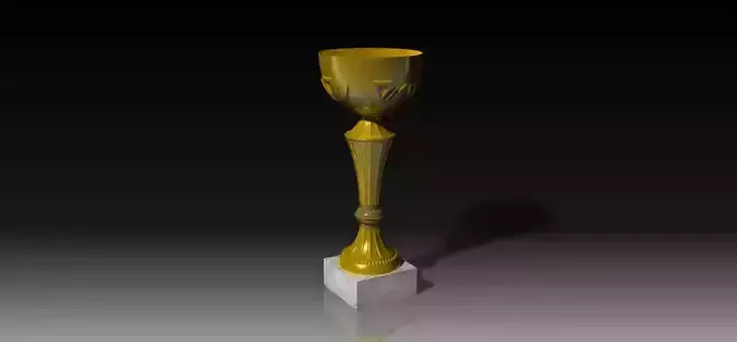 The winning trophy