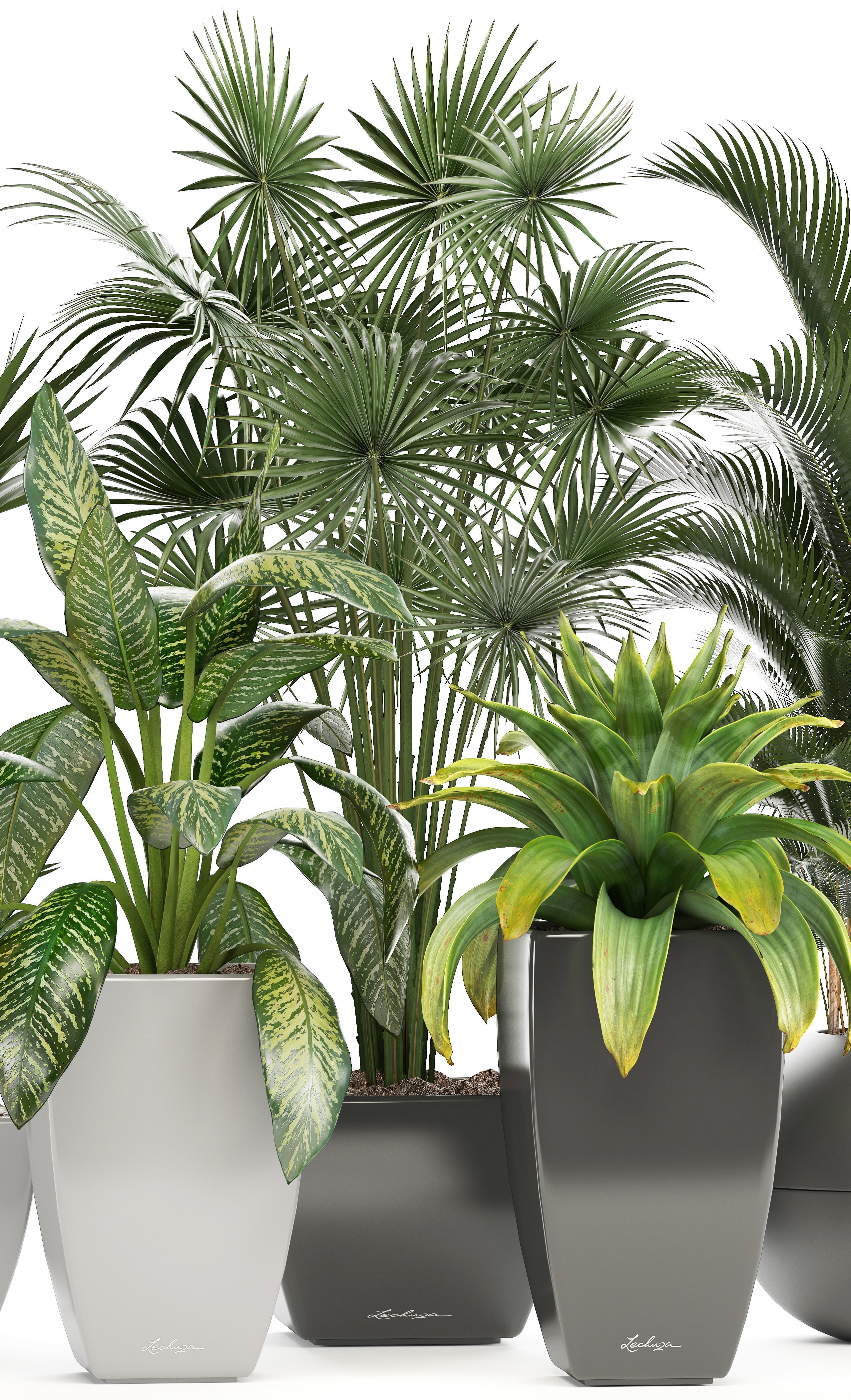collection of plants in pots 3D model_4
