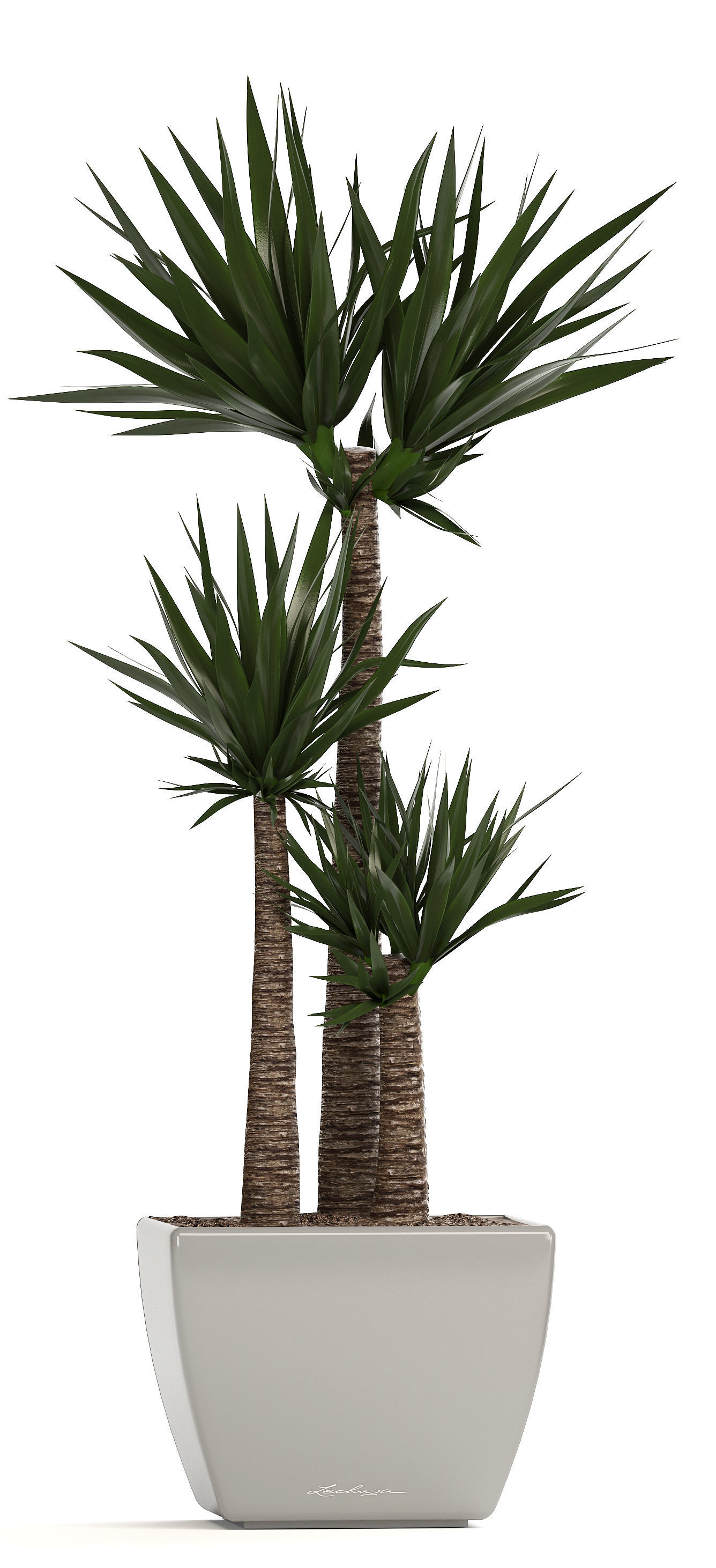 collection of plants in pots 3D model_3