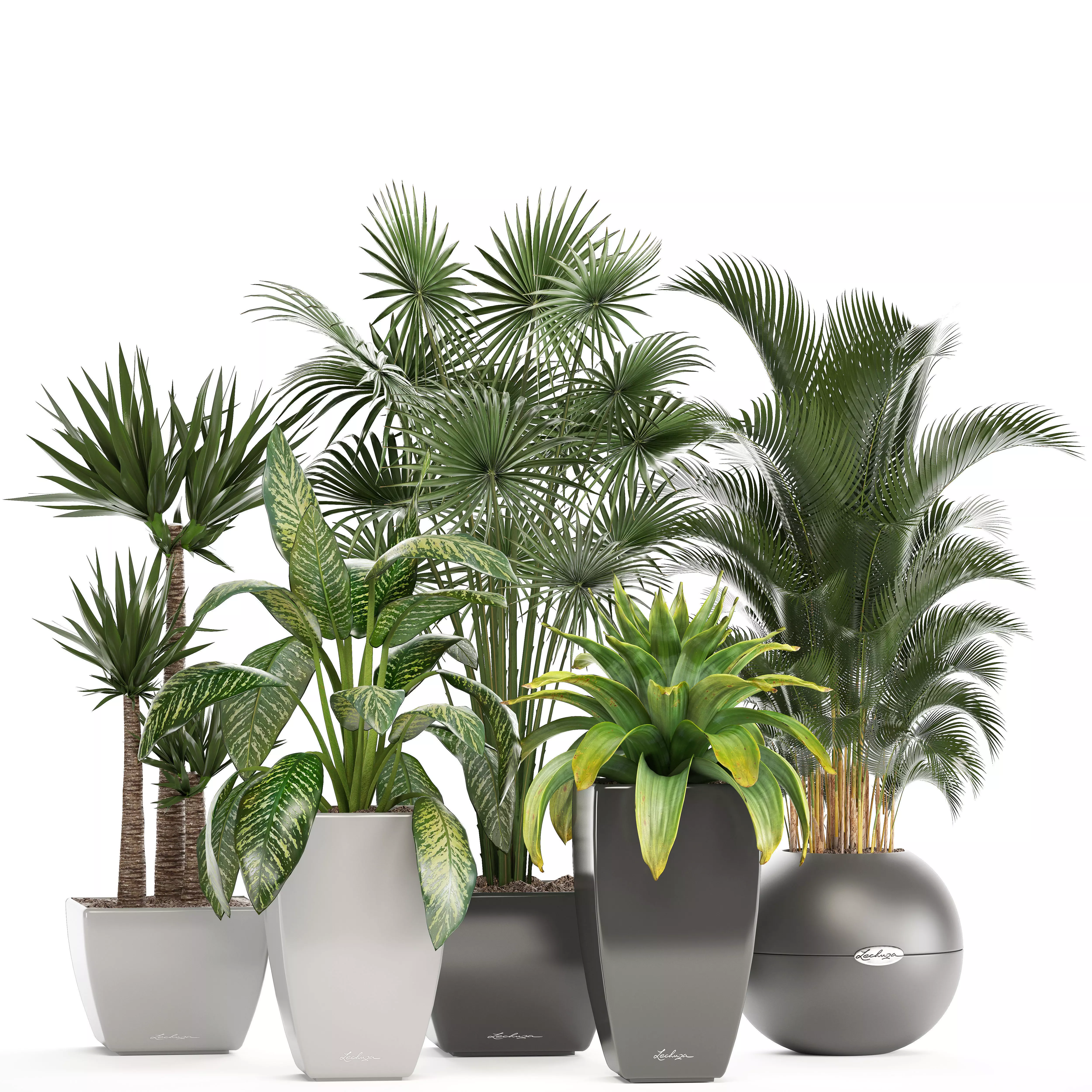 collection of plants in pots 3D model_0