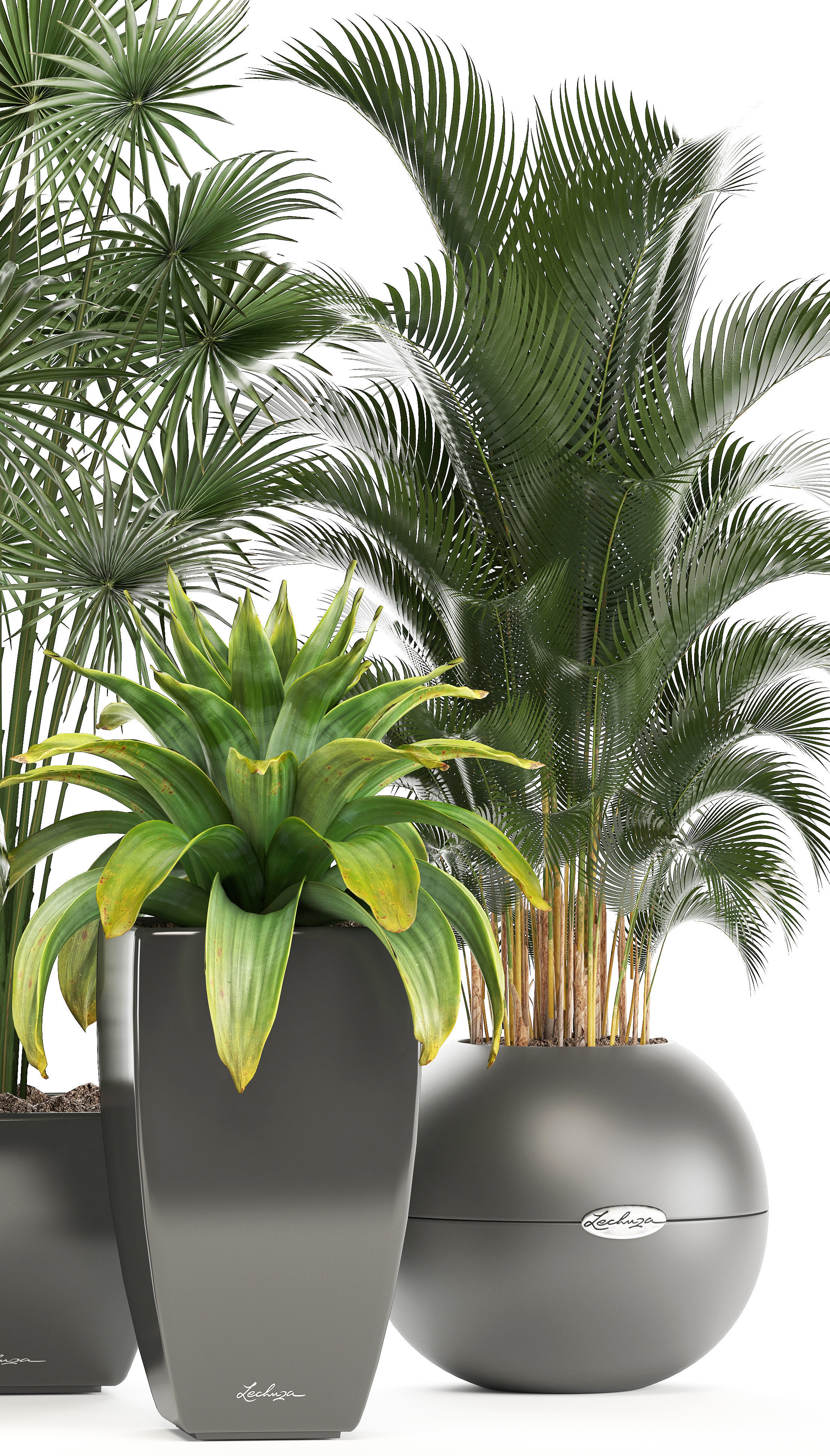 collection of plants in pots 3D model_1