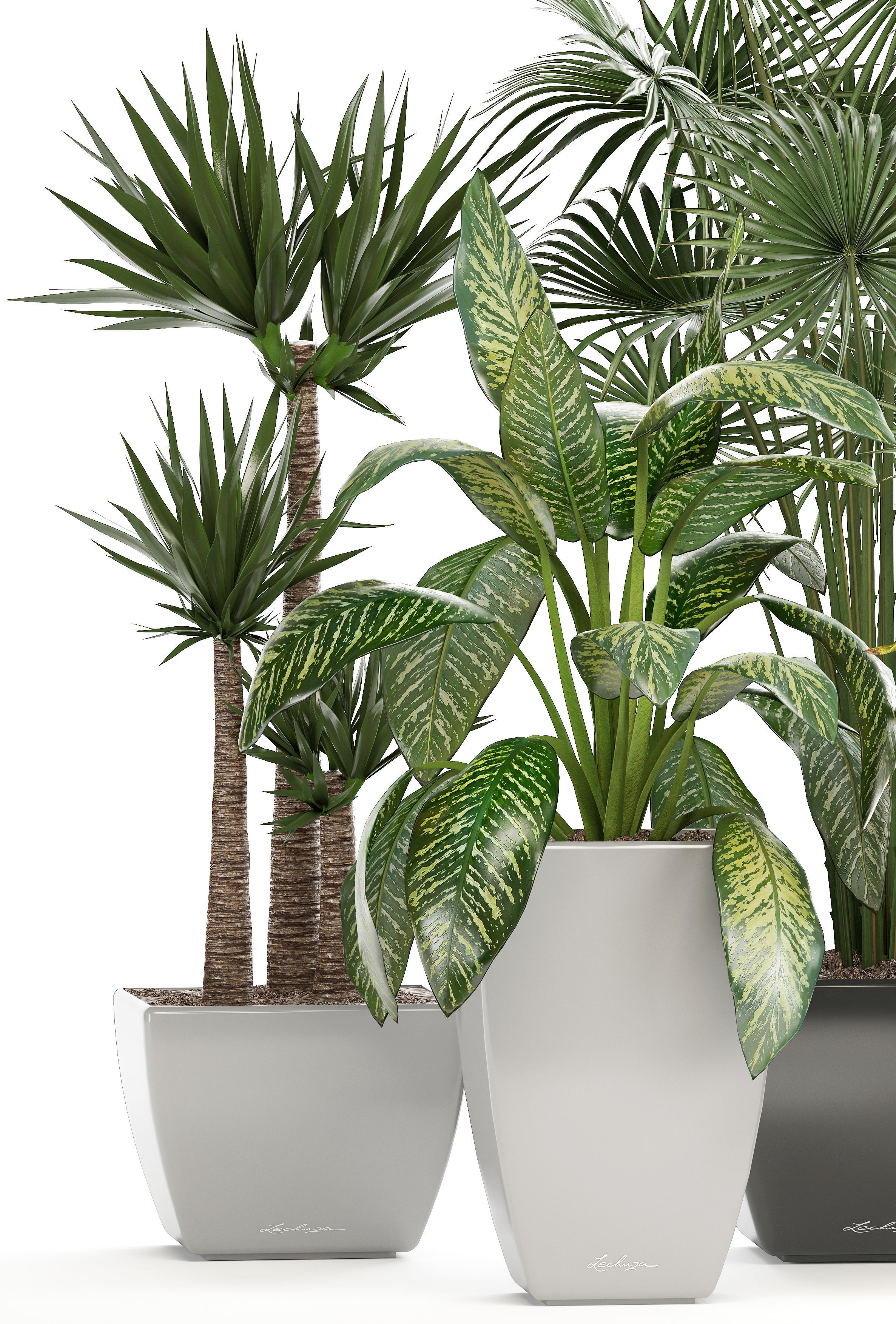 collection of plants in pots 3D model_2