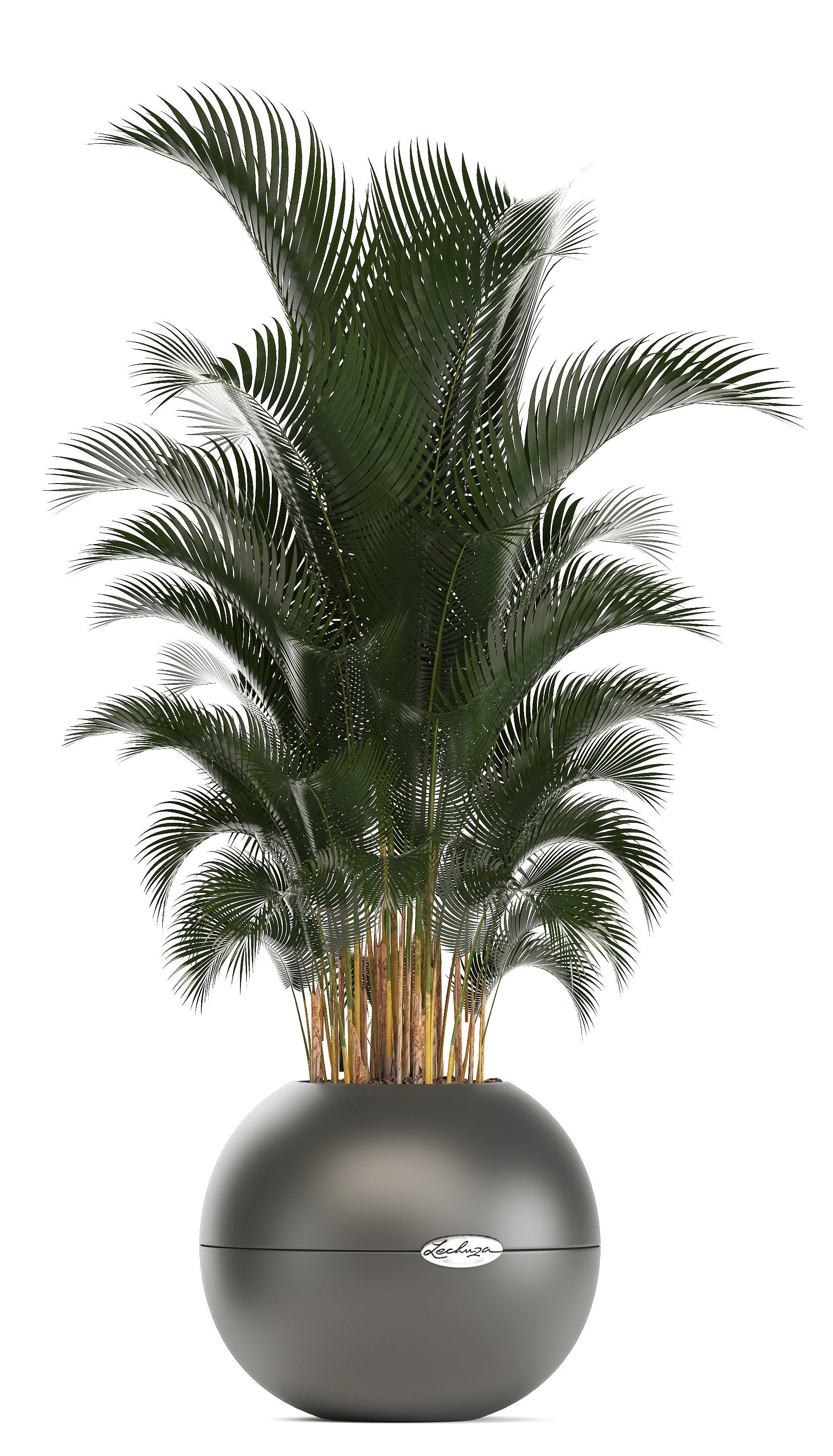 collection of plants in pots 3D model_7