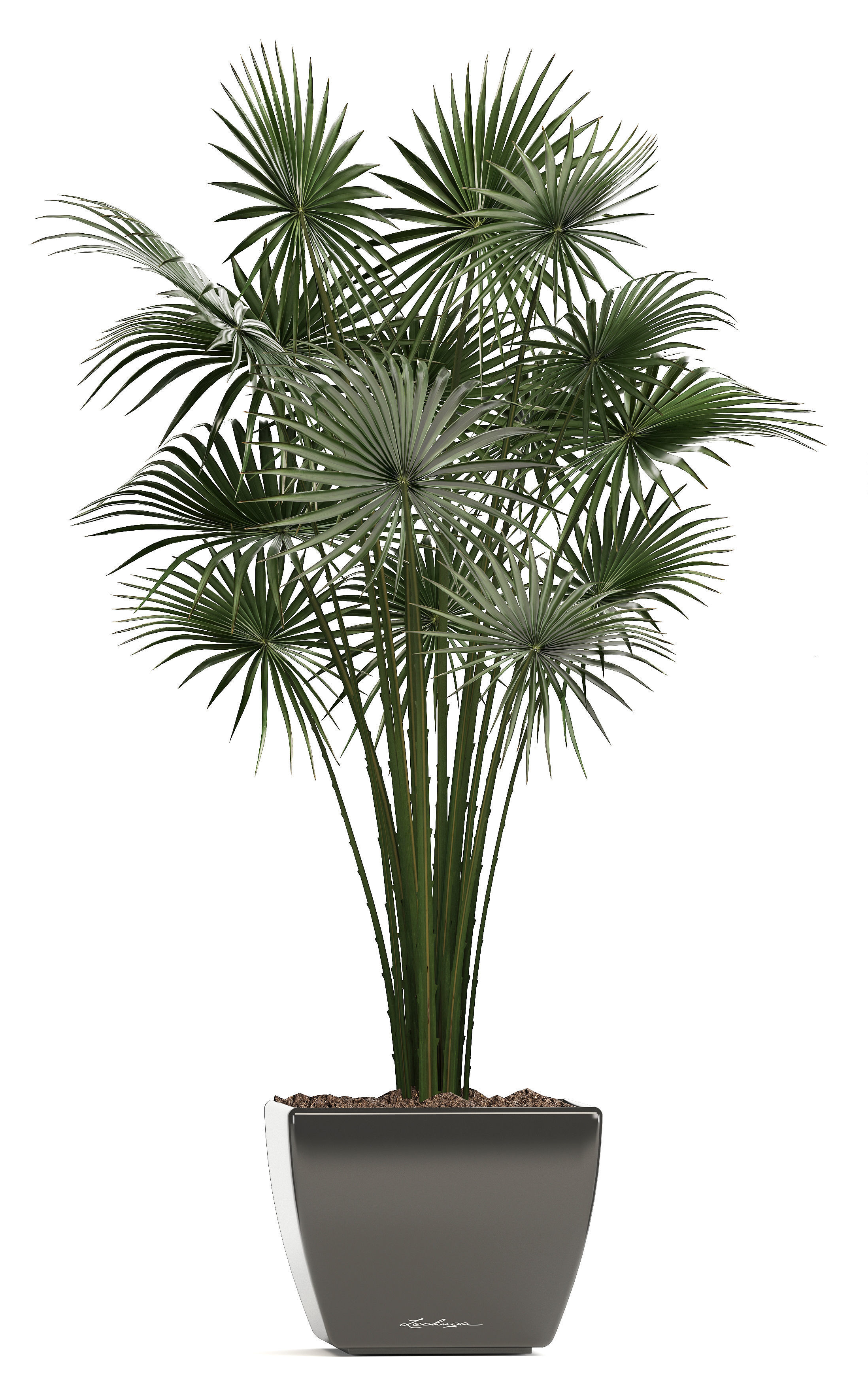 collection of plants in pots 3D model_11