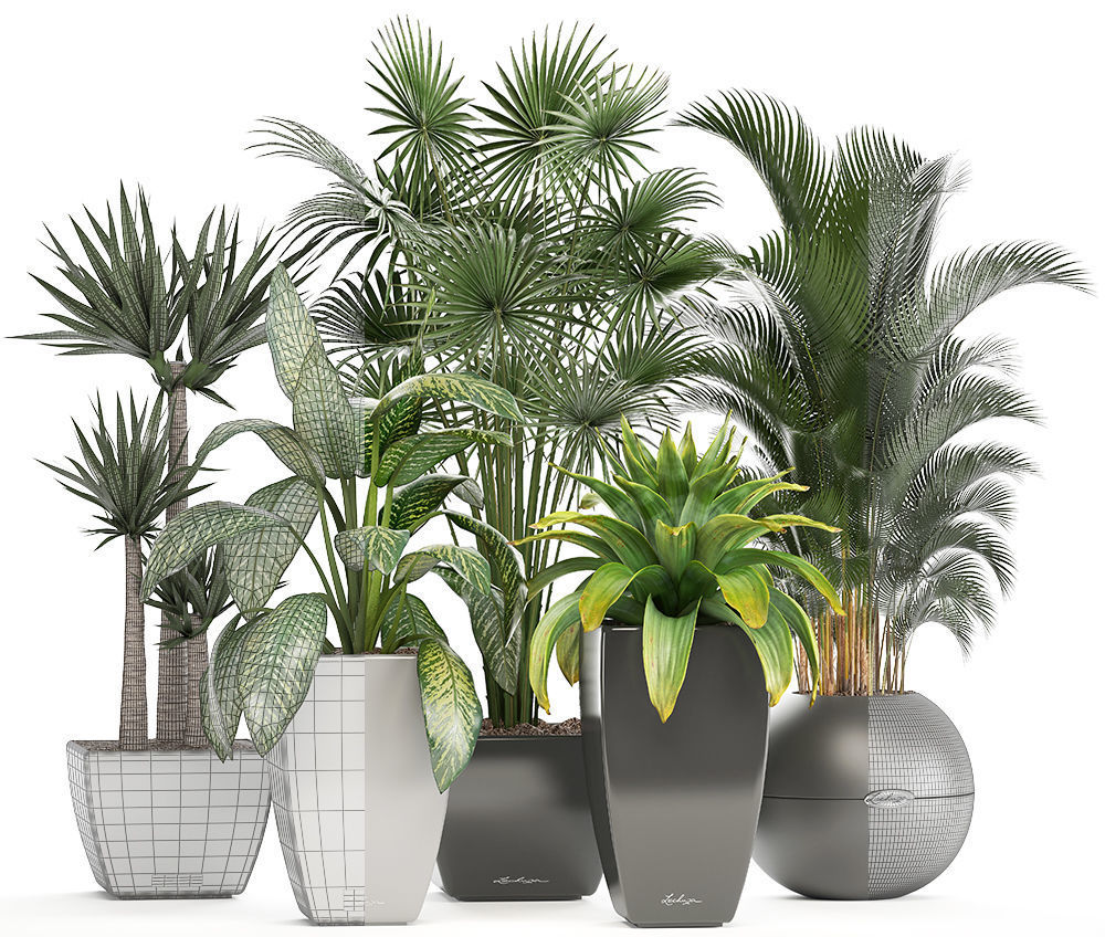 collection of plants in pots 3D model_9