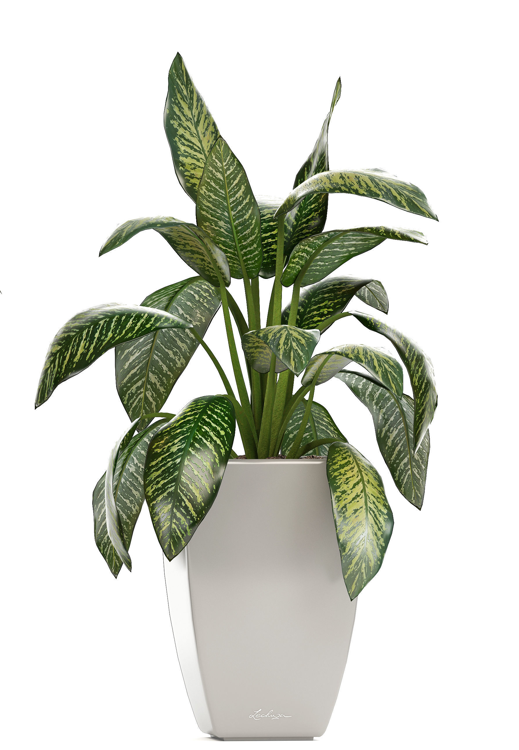 collection of plants in pots 3D model_5