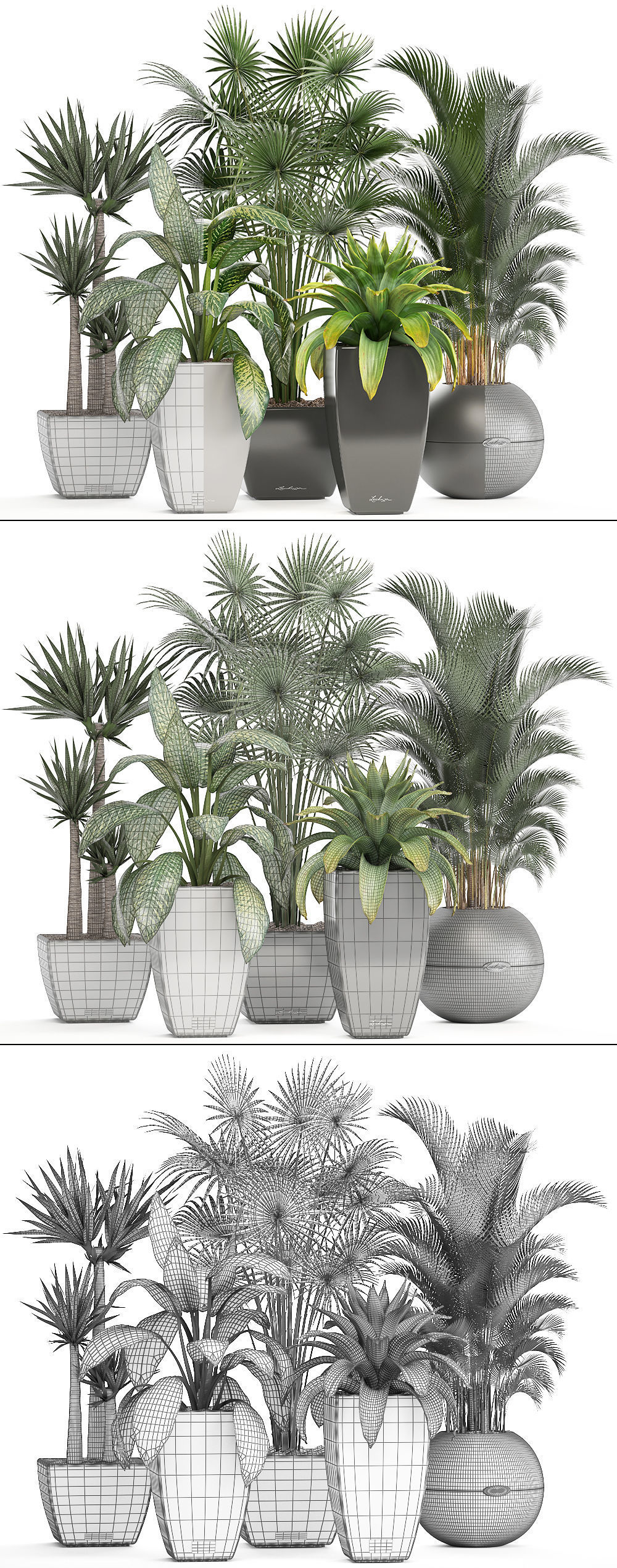 collection of plants in pots 3D model_10
