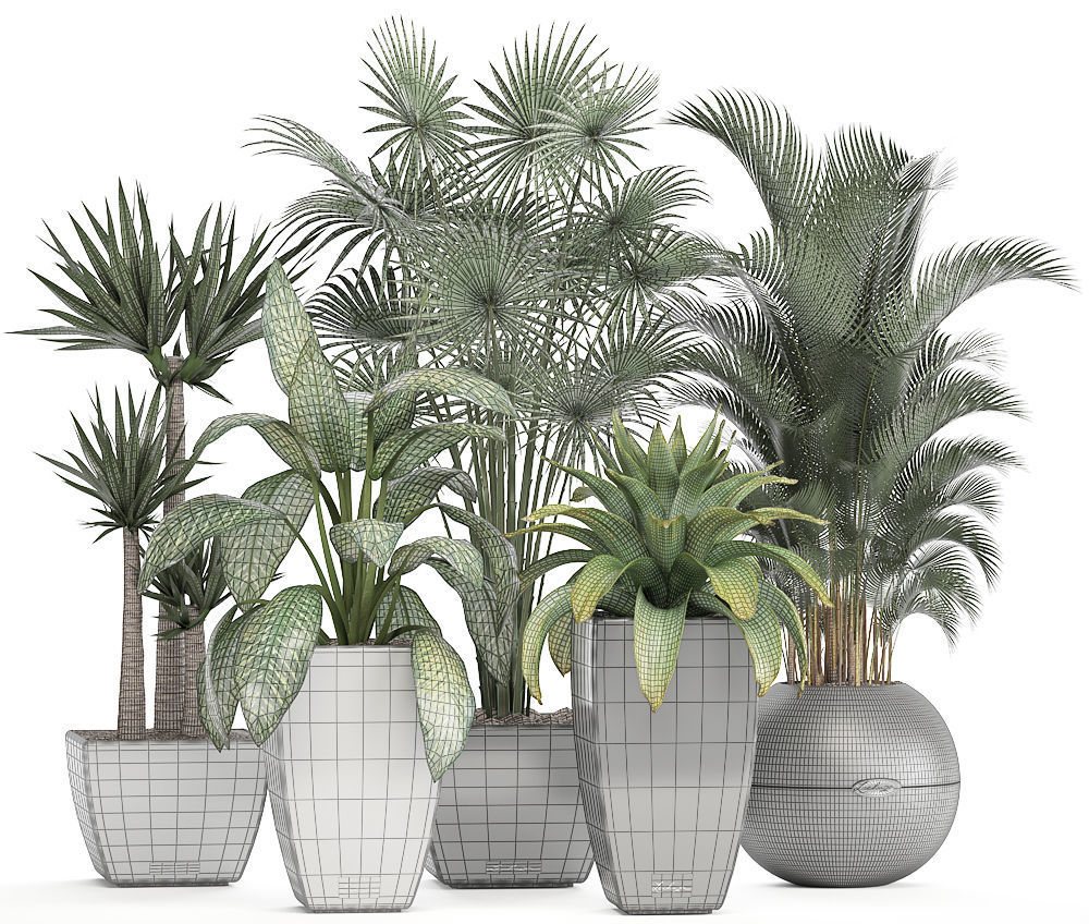 collection of plants in pots 3D model_12