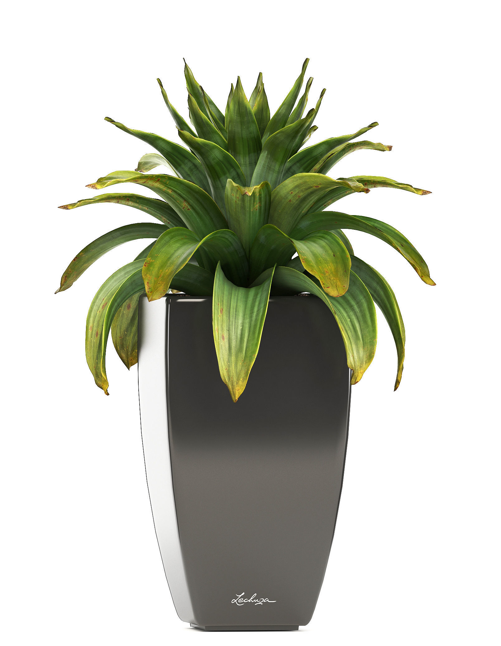collection of plants in pots 3D model_6