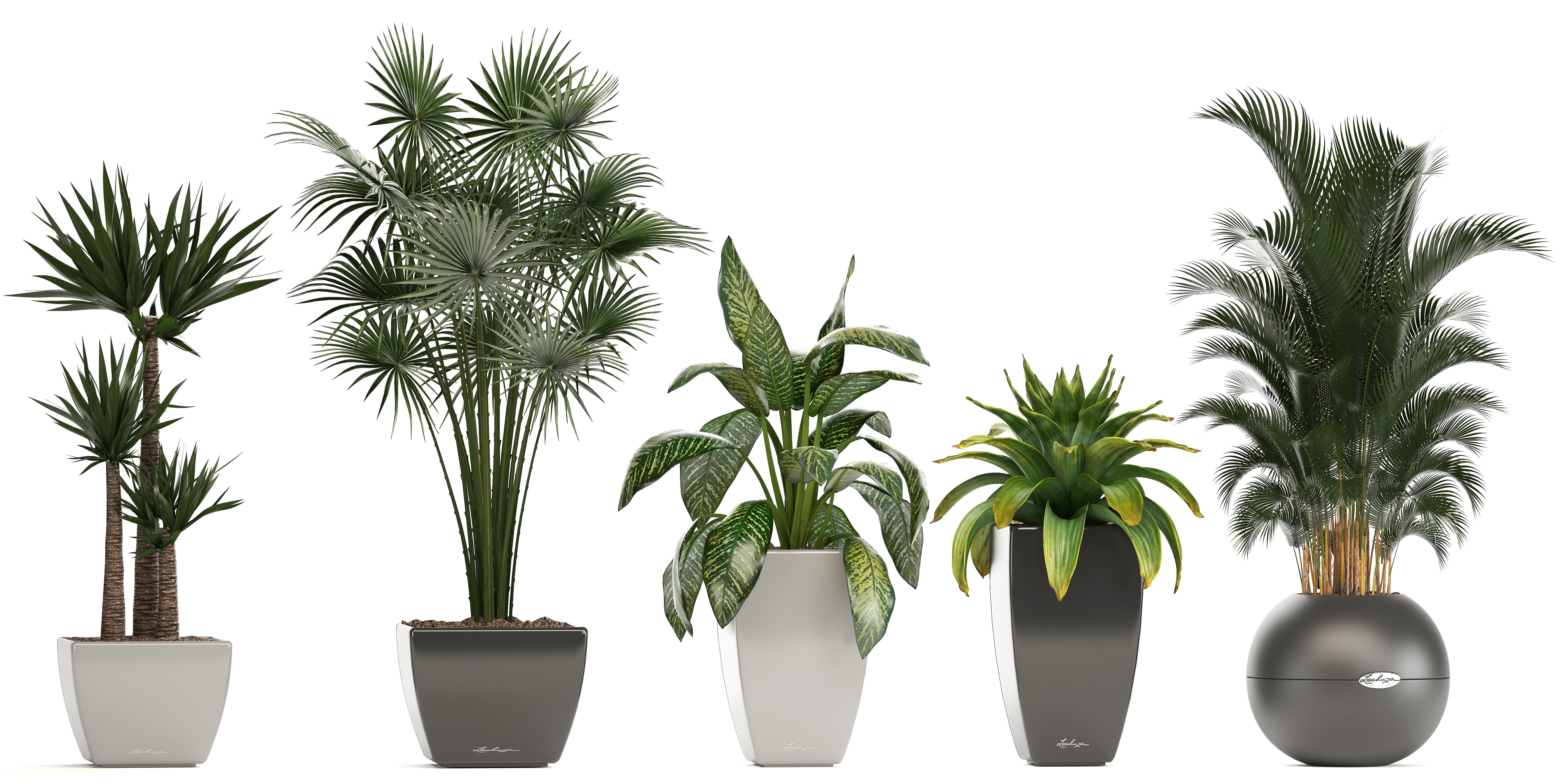 collection of plants in pots 3D model_13