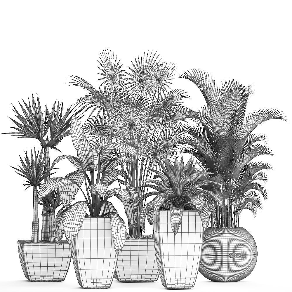 collection of plants in pots 3D model_8
