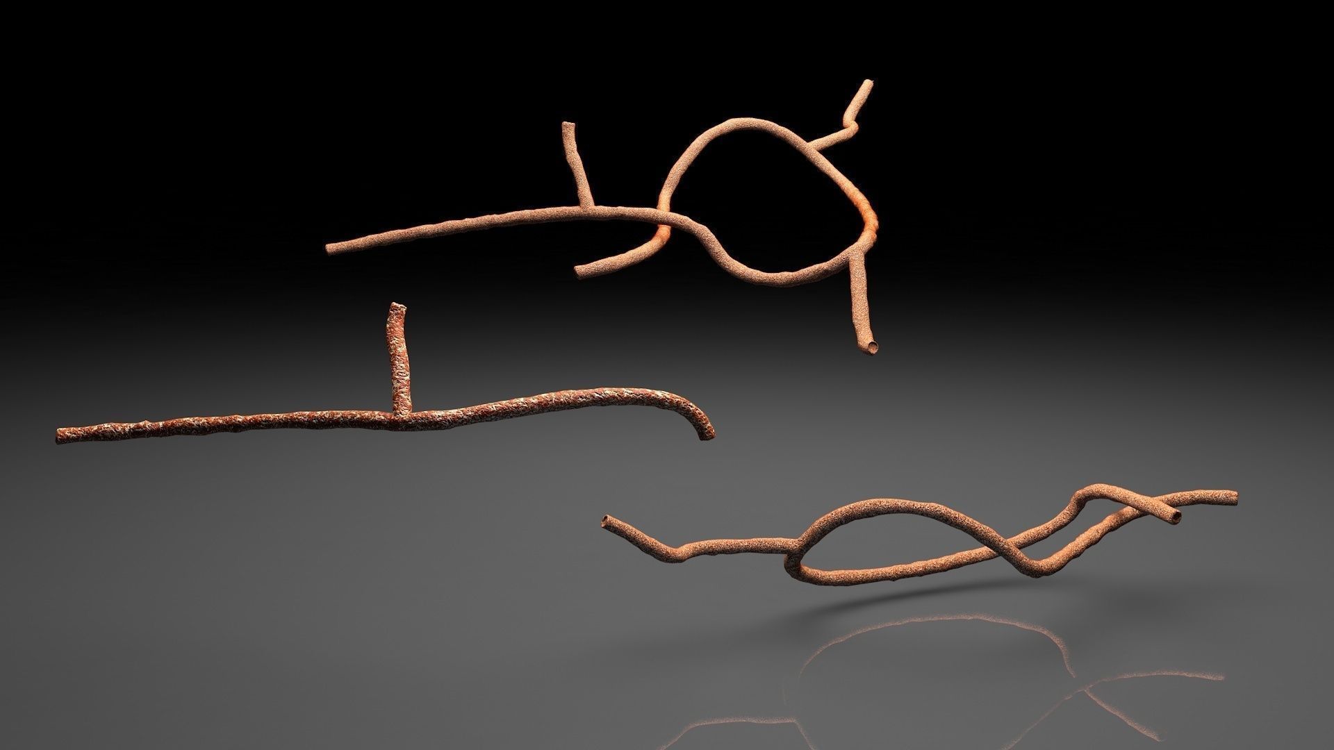 Microscopic Ebola Virus 3D model_6