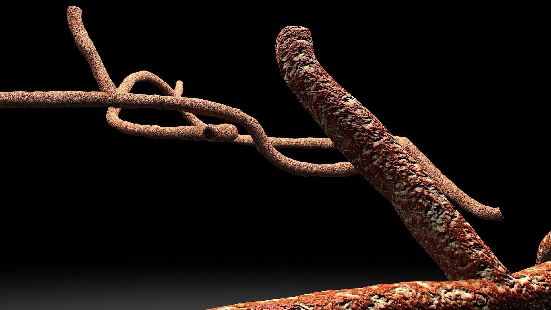 Microscopic Ebola Virus 3D model_1