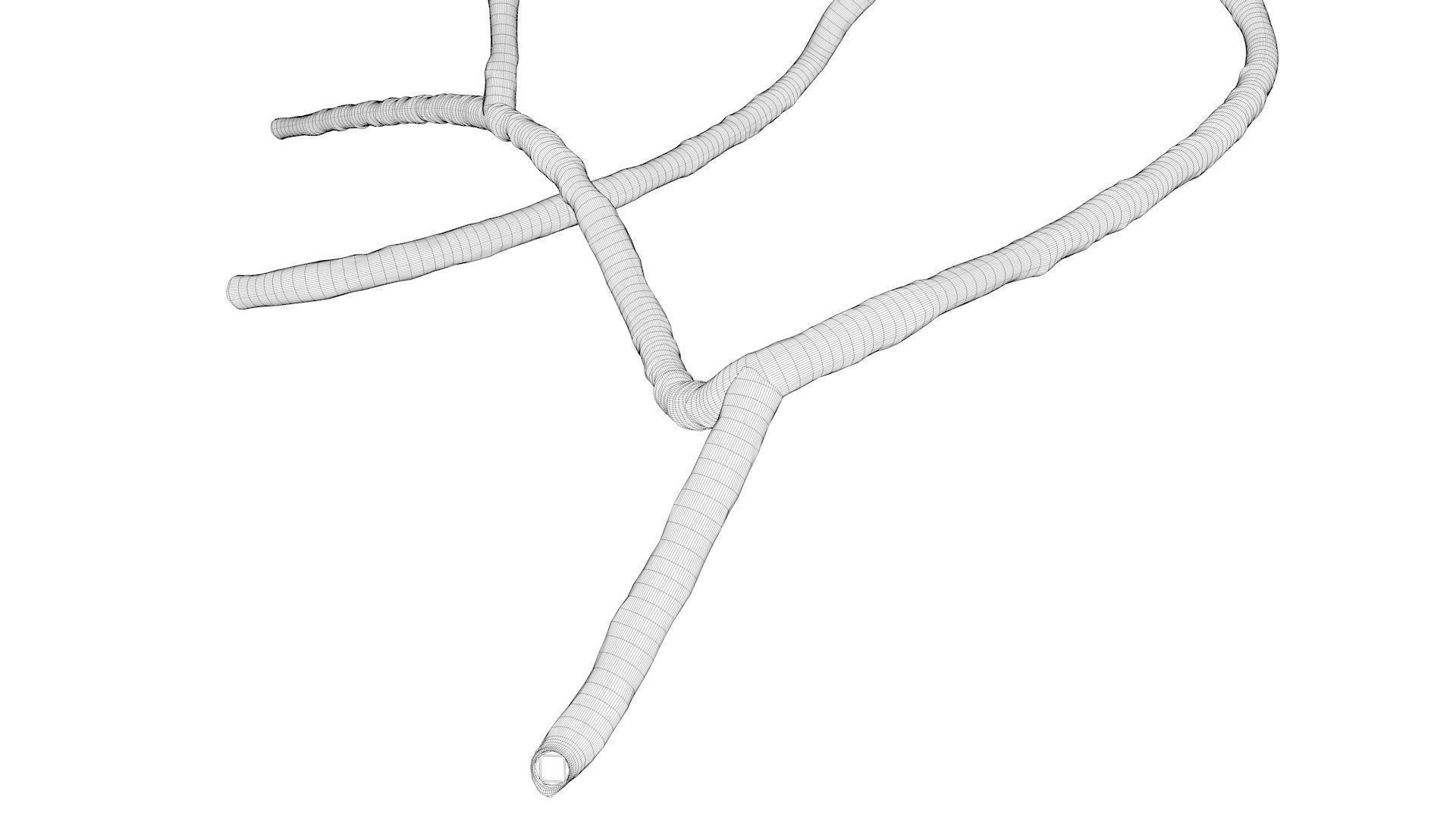 Microscopic Ebola Virus 3D model_3