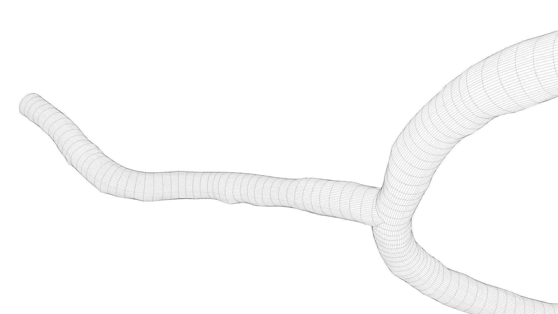 Microscopic Ebola Virus 3D model_7