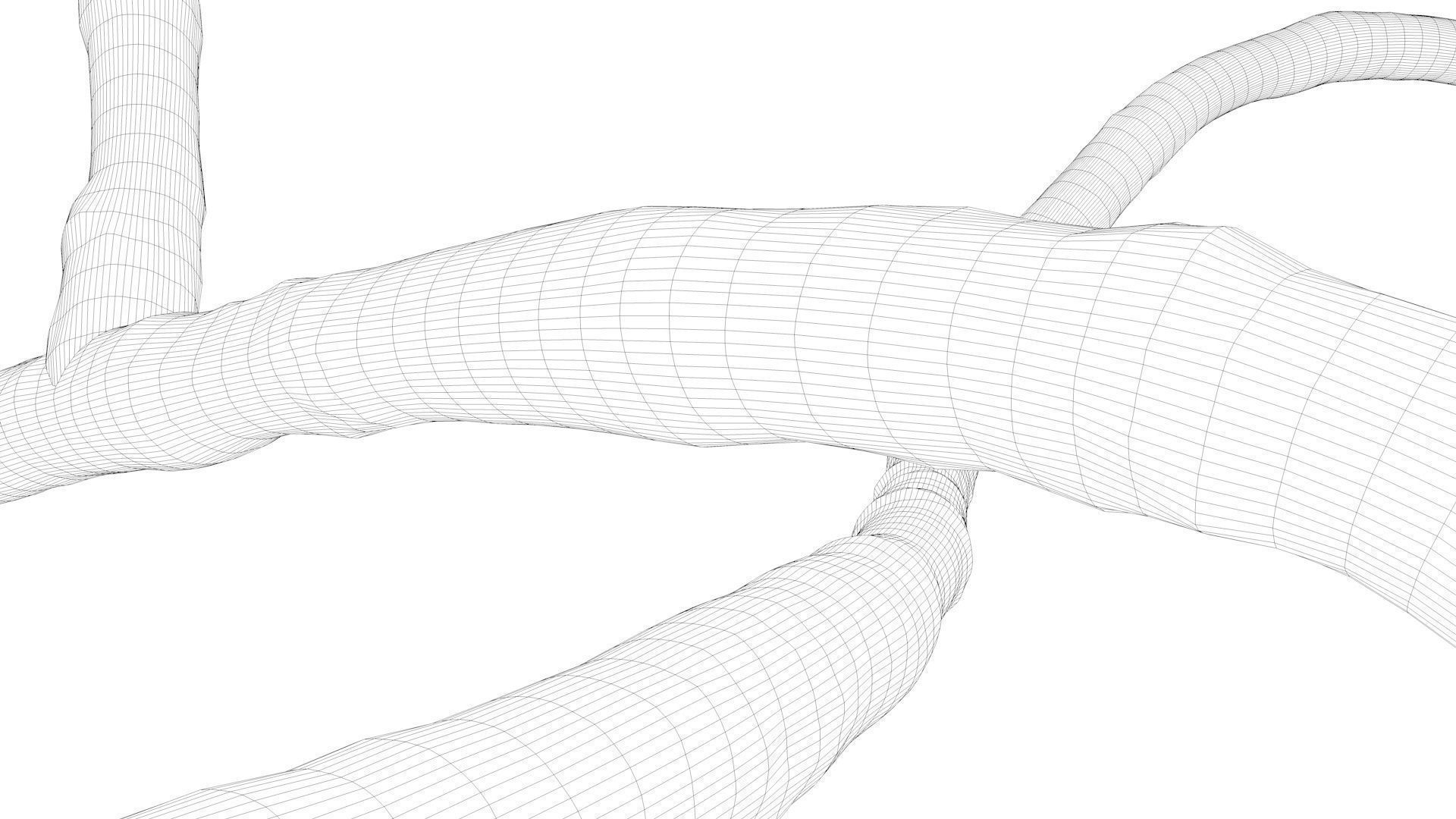 Microscopic Ebola Virus 3D model_5